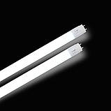 Лампа EVROLIGHT L-1500 2200лм 6400к 24вт G13 T8 трубчаста світлодіодна LED, фото 3