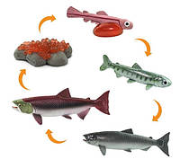 Фигурки Safari Ltd Жизненный Цикл Лосося, "Морские животные и обитатели", 100267