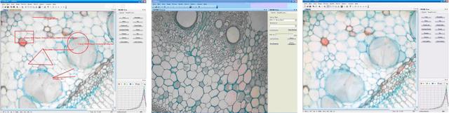 USB Камера для микроскопа 5,0MP