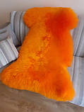 Овеча шкiра, овеча шкура, фото 4