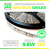 Світлодіодна стрічка MagicLed холодна 3528 120 Led 9,6 Вт/м IP54 (покрита силіконом), фото 5