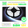 Світлодіодна стрічка MagicLed холодна 3528 120 Led 9,6 Вт/м IP54 (покрита силіконом), фото 3