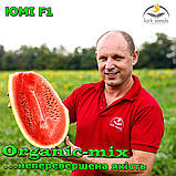 Насіння, кавун ЮММІ F1 / JUMMI F1, LARK SEEDS (США), 1000 насіння, фото 4