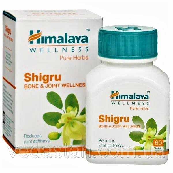 Шигру, Моринга, Моренга - детокс, антиоксидант, артрит, сечогінний, артроз, природний мульти вітамі, ревматизм