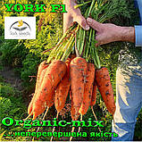 Надпотужний гібрид моркви Йорк F1/ York F1 від ТМ Lark Seeds (США), 25 000 насіння, фракція 1,8-2,0 мм, фото 2