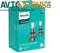 LED лампы для авто PHILIPS +160% H8 / H11 / H16 12V 35W . Автолампы