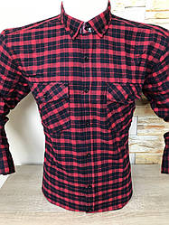 Чоловіча сорочка в клітку Palmen кашемір