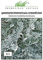 Семена цинерарии приморской Серебрянная Пыль 0,1 г(~200 шт) Hem Zaden Голландия