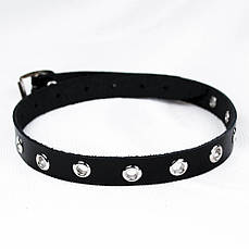 Нашийник OKB-084 з люверсами