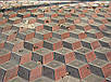 Укладання тротуарної плитки в Запоріжжі, фото 4