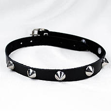 Нашийник OKB-161 - з конусами