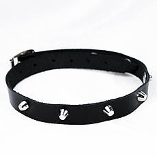 Нашийник OKB-162 - з шипами