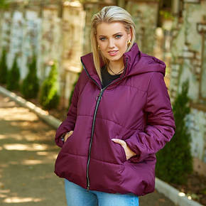 Демісезонні куртки 48+