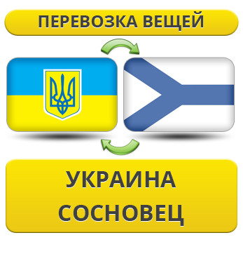 Перевезення Особистих Речей з України до Сосновця