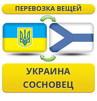 Перевезення Вії з України в Сосновець