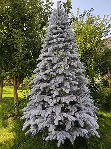 Лита ялинка Елітна Засніжена 2.30 м