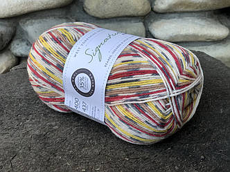 Носкова пряжа WYS, серія Country Birds