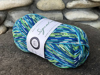 Носкова пряжа WYS, серія Country Birds