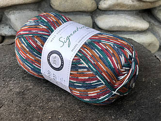 Носкова пряжа WYS, серія Country Birds