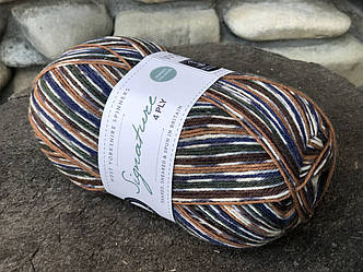 Носкова пряжа WYS, серія Country Birds