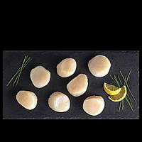 Гребінці великі с/м розмір 10/20