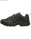 Чоловічі черевики Columbia Newton Ridge Plus Low Waterproof, фото 3