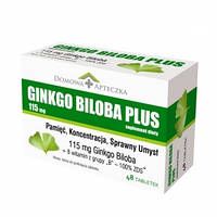 Ginkgo Biloba Plus — комплекс вітамінів із гінкго білоба для здоров'я головного мозку, 48 таб.