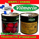 Насіння, редис ранній ШАХРІ/SHAHRI, 250 грамів банку ТМ Vilmorine (Франція), фото 2