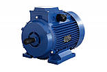 Електродвигун АІР355S6 160 кВт 1000 об./хв IM1001 (IM1081) лапи, фото 5