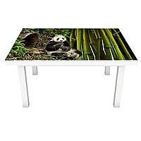 Виниловая 3Д наклейка на стол Панда и Бамбук (ПВХ пленка самоклеющаяся) Животные Зеленый 600*1200 мм