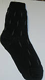 Шкарпетки чоловічі напіввовняні "Кавролін", фото 5