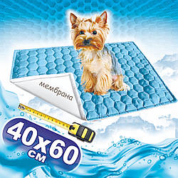 Багаторазова пелюшка для собак 40х60 см непромокальна БІРЮЗОВА