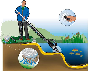 Догляд за ставком