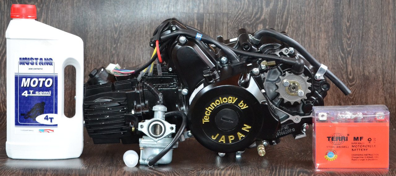 Двигун DELTA, ALFA, ACTIVE — 110 (МЕХАНІКА) ЧУГУНИЙ ЦИЛЕНДР B + Подарунок — олива, карбюратор, акумулятор