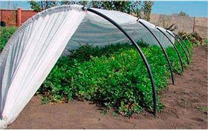 Парник Agreen, 6 м, 40%, фото 1