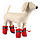 Зимові чобітки для собак «Мішечки», червоний, зимове взуття для собак дрібних порід, фото 8