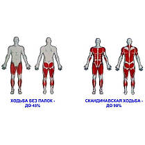 Палиці для скандинавської ходьби SV-RE0011 SportVida, фото 3