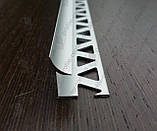 Кут для плитки внутрішній АВП 10 L-2.7 м., фото 5