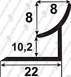 Кут для плитки внутрішній АВП 10 L-2.7 м., фото 3