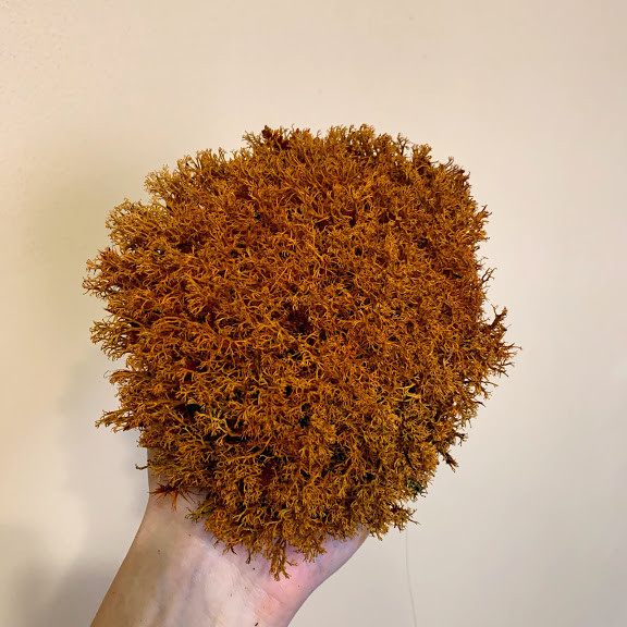 Стабілізований мох ягель український помаранчевий 1 кг