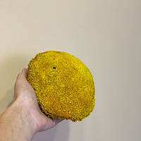 Стабілізований мох Green Ecco Moss купина жовта 4 кг
