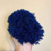 Стабілізований мох ягель український синій 0.5 кг