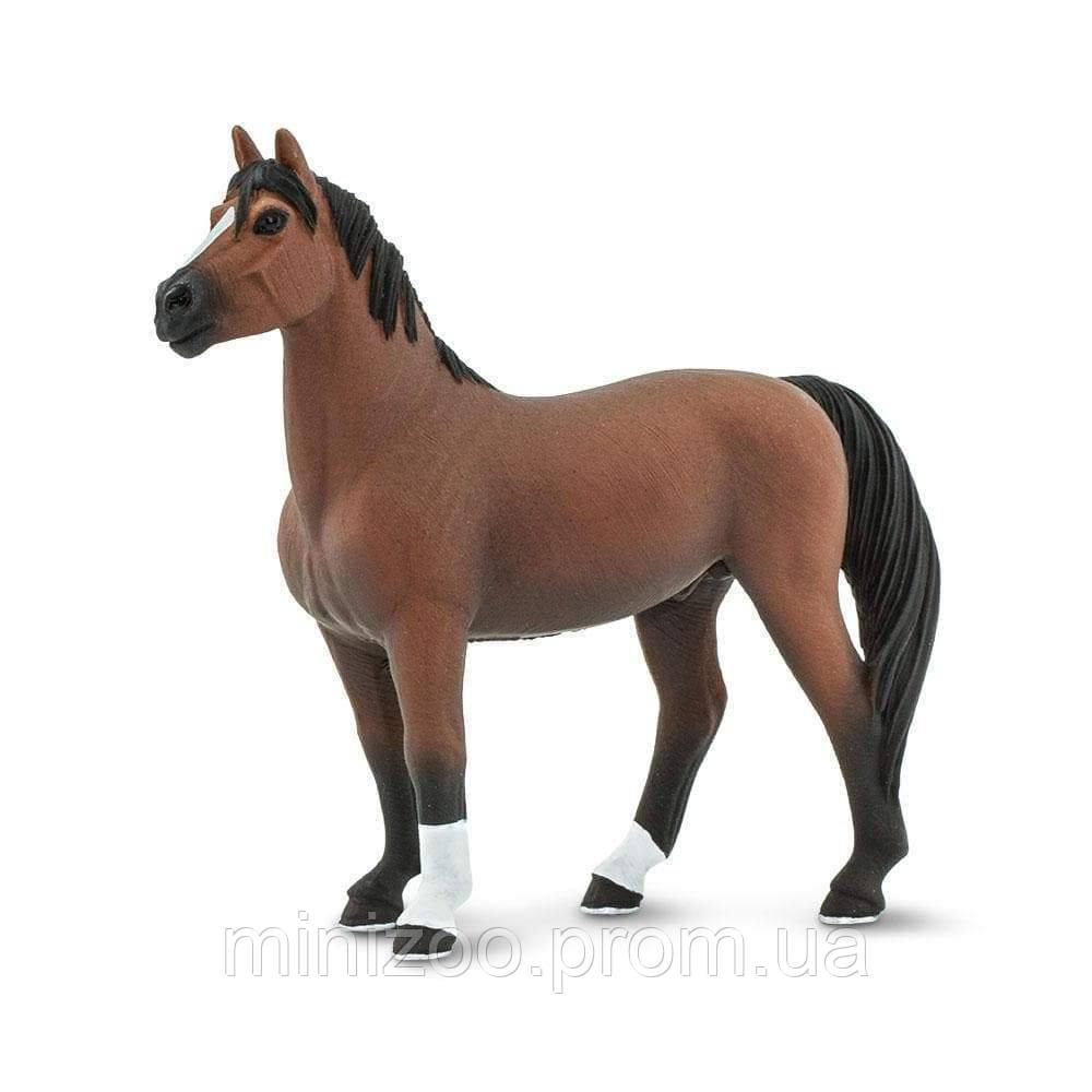 Safari ltd horses hotsell