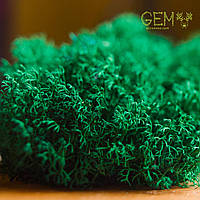 Стабілізований мох Green Ecco Лишайник ягель український смарагдовий 0.5 кг