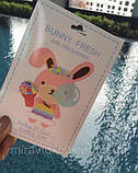 Ароматизатор в авто/гардероб парфумований Bunny Fresh "BUBBLE GUM", жуйка, фото 4