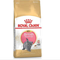 Сухий корм Royal Canin British Shorthair Kitten для кошенят породи британська короткошерста до 12 місяців