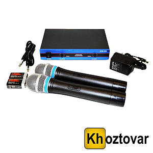 Радіосистема DM EW 100 ⁇ База та 2 мікрофони