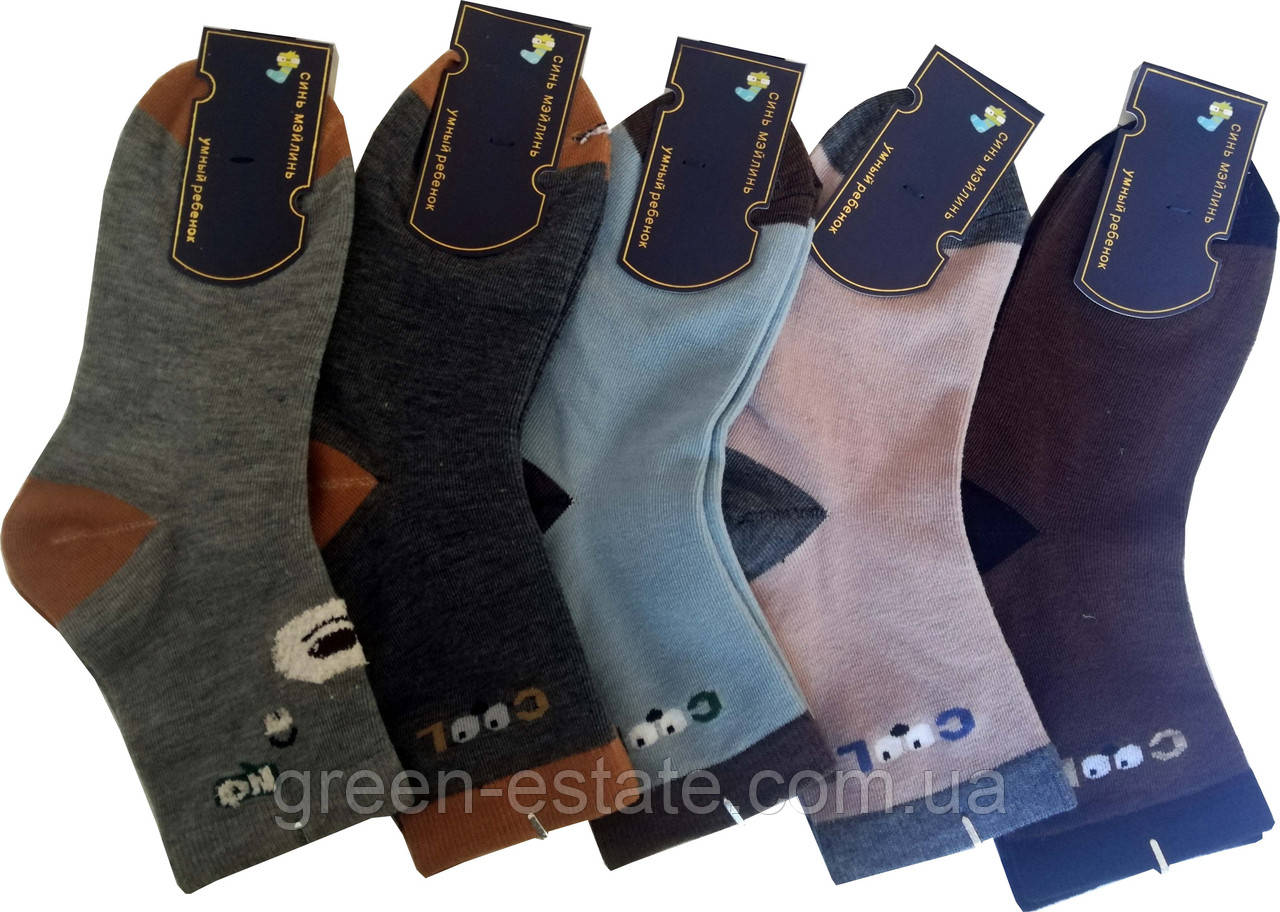Шкарпетки дитячі Мордочки 9-12 років