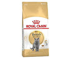 Сухий корм Royal Canin British Shorthair Adult для котів породи британська короткошерста від 12 місяців до 10