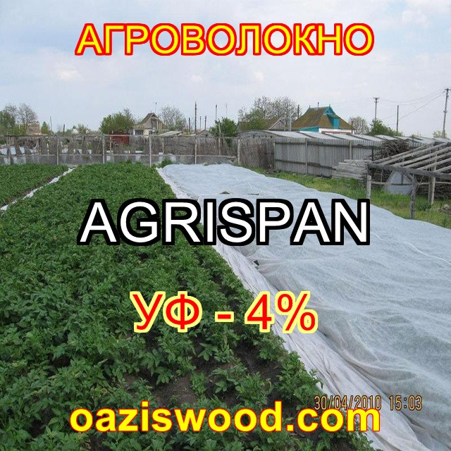 Агроволокно біле 3.2х50м 30г/кв. м UV-P 4% AGRISPAN-АГРИСПАН Польська якість за доступною ціною.
